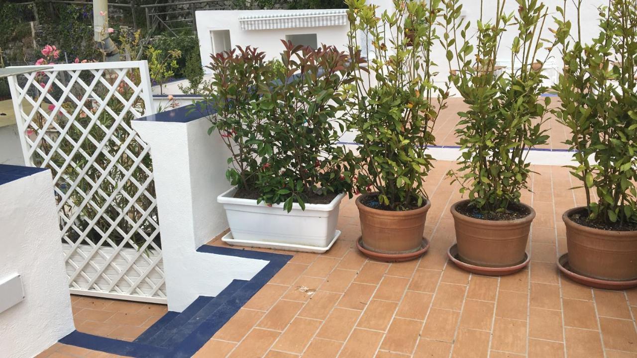 Panorama Da Cartolina Apartman Ischia Kültér fotó